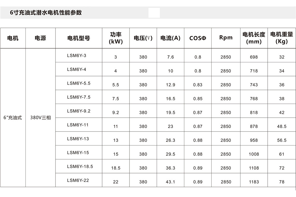 6寸充油式潛水電機(jī)(圖2)